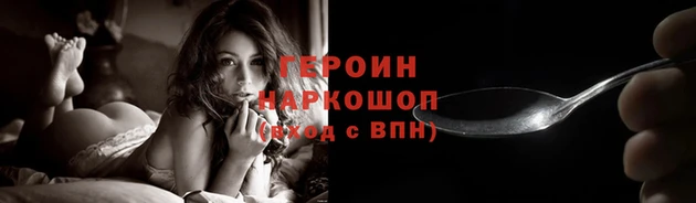 крисы Новозыбков