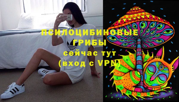 крисы Новозыбков