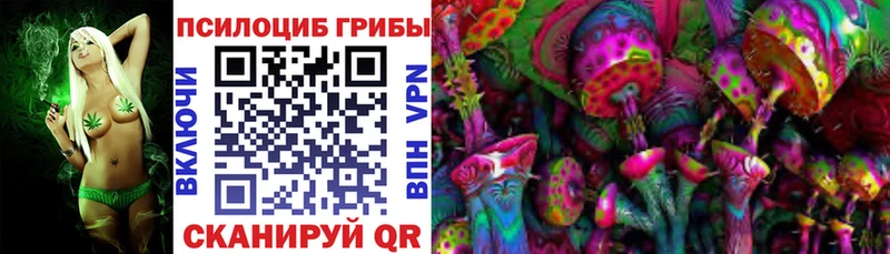 Псилоцибиновые грибы GOLDEN TEACHER  наркошоп  kraken как зайти  Александровск 